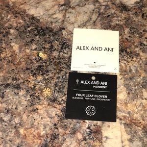 Alex and Ani bracelet